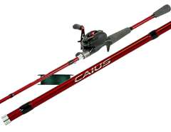 COMBO REEL Y CAÑA CAIUS SHIMANO en internet
