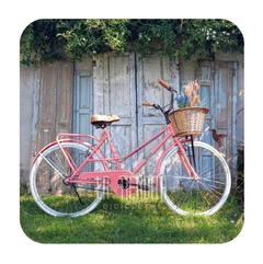 BICICLETA VINTAGE RONDINELLA ECO RODADO 26 - La Tiendita Bicicletas