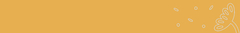 Banner de la categoría Bermudas