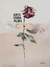 Arte cura alma