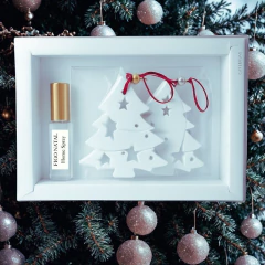 Pendente de Gesso com Home Spray - comprar online