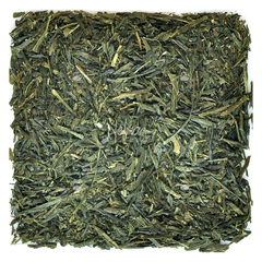 Sencha