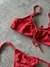 Bikini Criss
