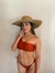 Bikini Terra