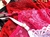 Conjunto Aro Nina Love na internet
