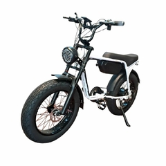 E-Bike Surfliner