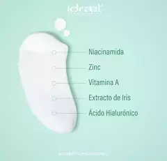 Niacinamide Zinc Emulsion Correctora Hidratante Idraet 60 Gr - comprar online