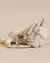 Unicorn Golden na internet