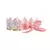 Set Coroas Liberty Meri Meri 8und