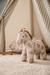 Cavalinho Kids Concept - loja online