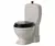 Toilet Mouse