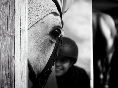 Carrusel EquiStore.com.ar