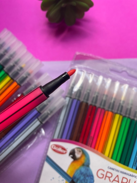 CANETA HIDROGRAFICA 12 CORES