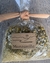Cajita Mate o infusiones - comprar online