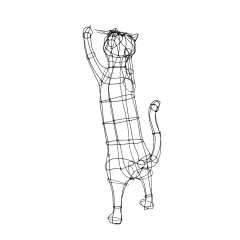 Felino (4)