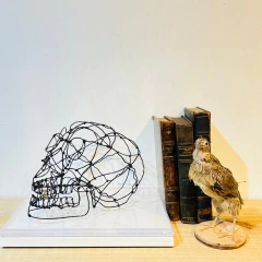 Escultura de Caveira - comprar online