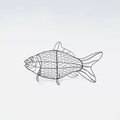Peixe (médio)