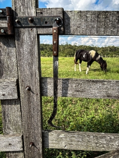 Virador de carne madeira - comprar online