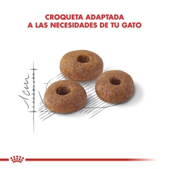 Royal Canin Fit 32 - comprar online