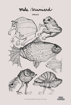 Dibujos - Mele Bruniard
