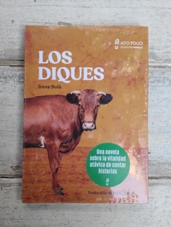 Los diques - Irene Solà