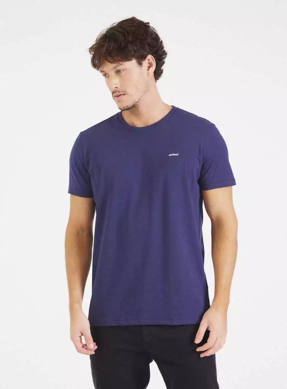 Camiseta Masculina Basica COLCCI 35.01.10860