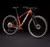 Trek Procaliber 9.5 Gen 3 en internet
