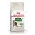 Royal Canin Active 7+ - comprar online