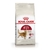 Royal Canin Fit - comprar online