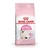 Royal Canin Kitten - comprar online
