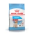 Royal Canin Medium Puppy - comprar online