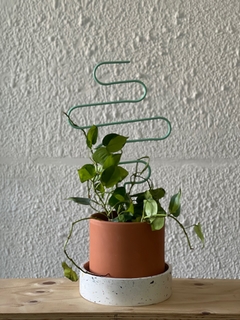 Tutores en dúo color 50cm | color a convenir - comprar online