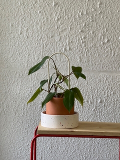 Tutores en dúo color 50cm | color a convenir en internet