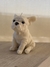 vela Bulldog