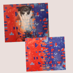 LOTE de vinilos - comprar online