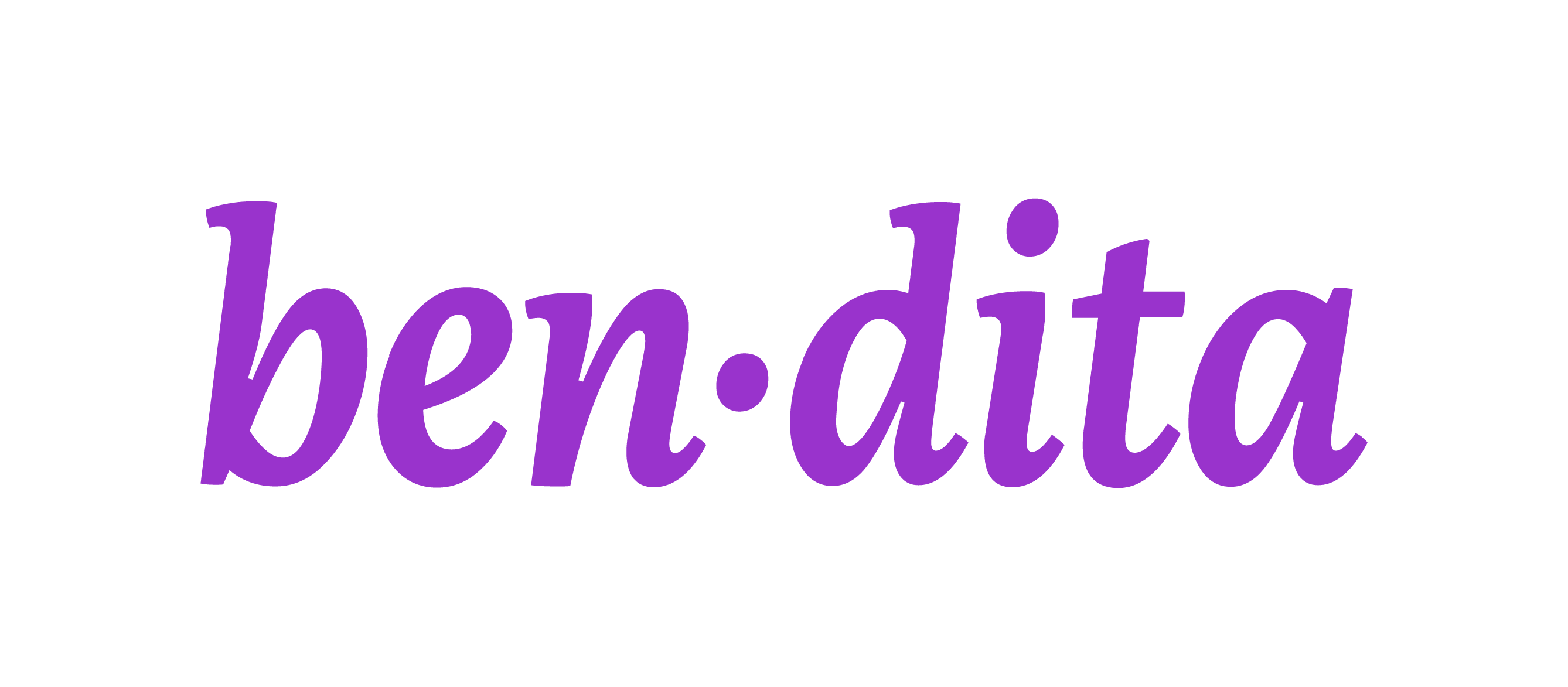 bendita lingerie