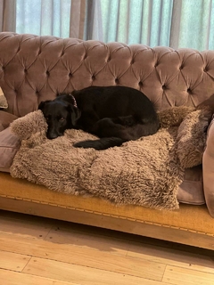 Manta Cubre Sillon en internet