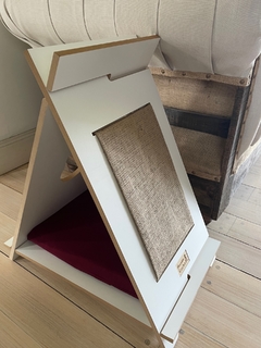 Imagen de Carpa Gatito