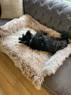 Manta Cubre Sillon en internet