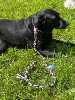 conjunto trenzado de semi ahorque en internet