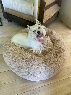 Puff Anti Estres Chapelco - PARA PERROS Y GATOS 