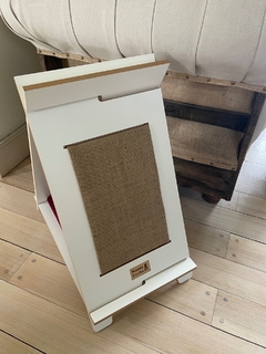 Carpa Gatito en internet