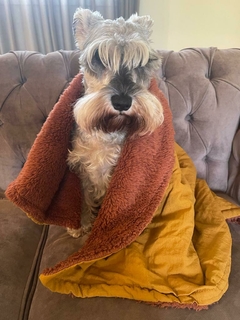 Mantita Para Sillon o Cama - comprar online