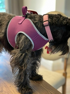 Pretal Reflex - comprar online