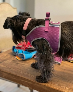 Pretal Reflex en internet