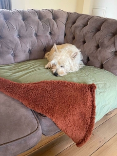 Mantita Para Sillon o Cama - PARA PERROS Y GATOS 