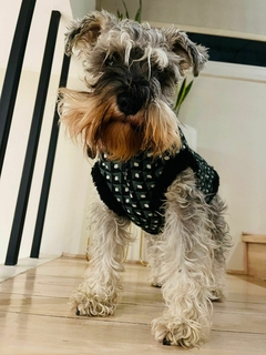 Poleron Estampado en internet