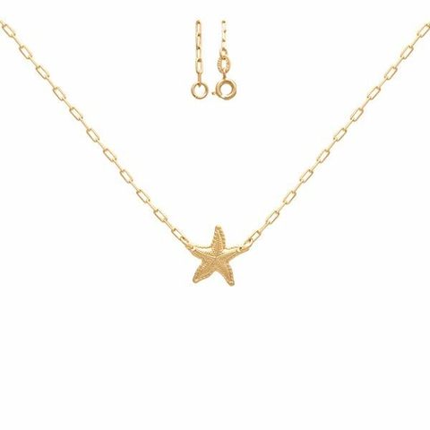 Choker Cartie Estrela do Mar Borda Torcida 13MM 40CM