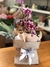 Mini Orquídea na internet