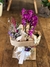 Mini Orquídea